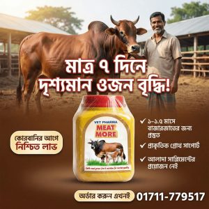 Meat More - ষাঁড়ের জন্য
